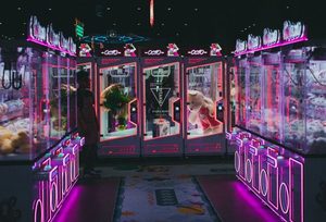 game 2025 8Day
